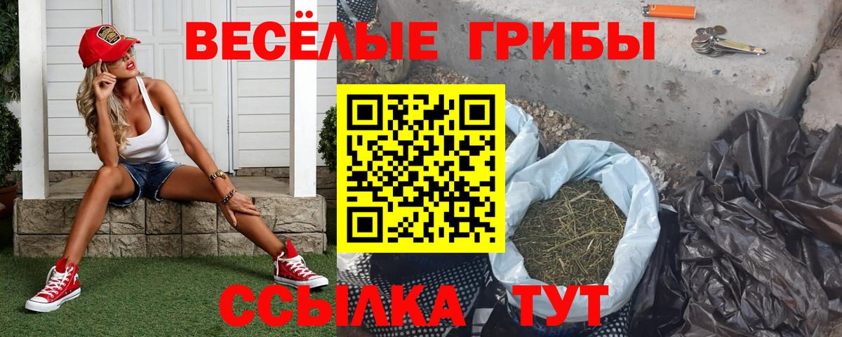 Галлюциногенные грибы Magic Shrooms Ипатово