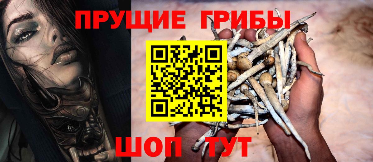 Галлюциногенные грибы мицелий  Вход с VPN  Ипатово  Псилоцибиновые грибы мицелий 
